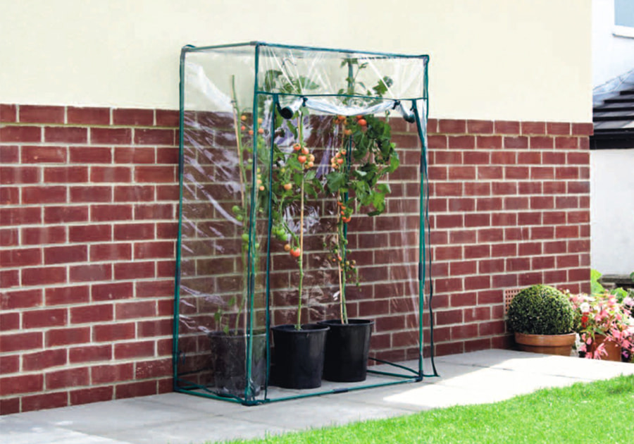 Tomato Green House With PVC Cover