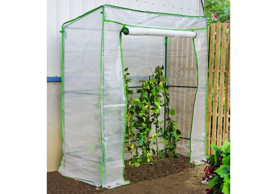 Walk-in Lean-to Tomato Greenhouse