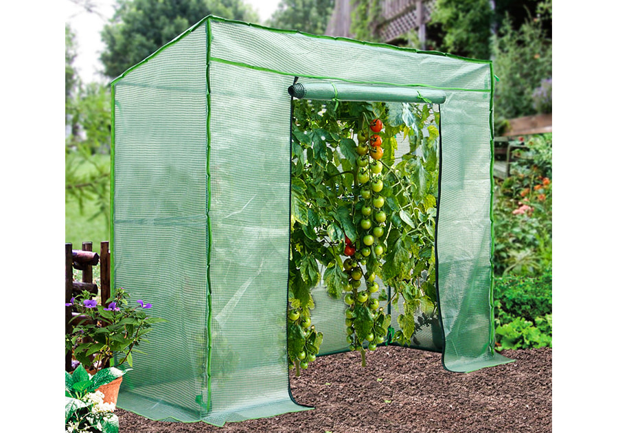 Walk-in Lean-to Tomato Greenhouse With PE cover